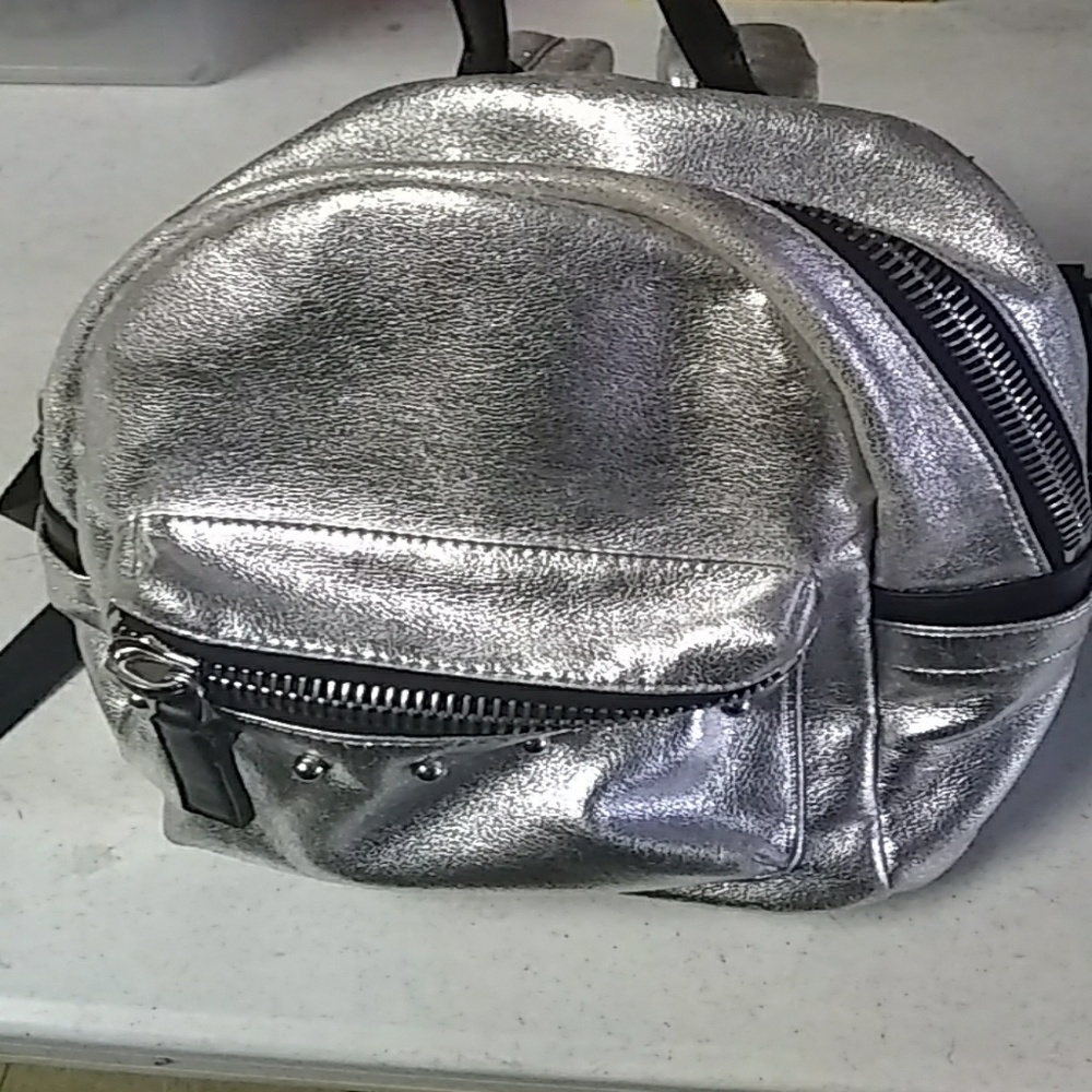 ladys bag
